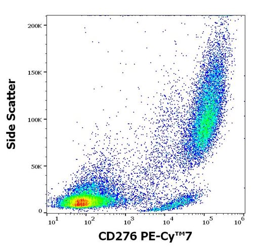 Anti-Hu CD276 PE-Cy™7