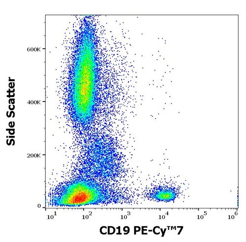 Anti-Hu CD19 PE-Cy™7