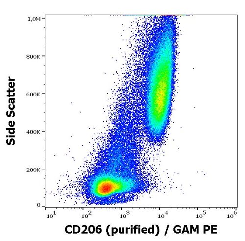 Anti-Hu CD206 Purified