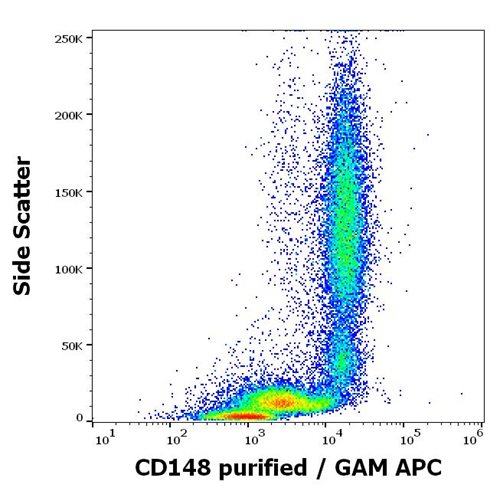 Anti-Hu CD148 Purified