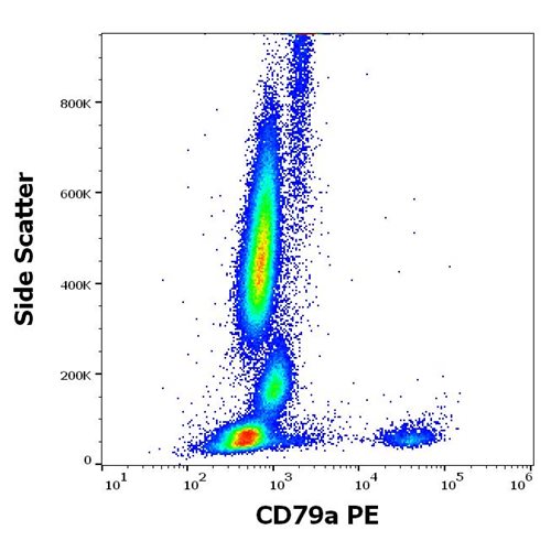Anti-Hu CD79a PE