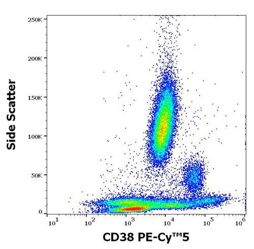 Anti-Hu CD38 PE-Cy™5