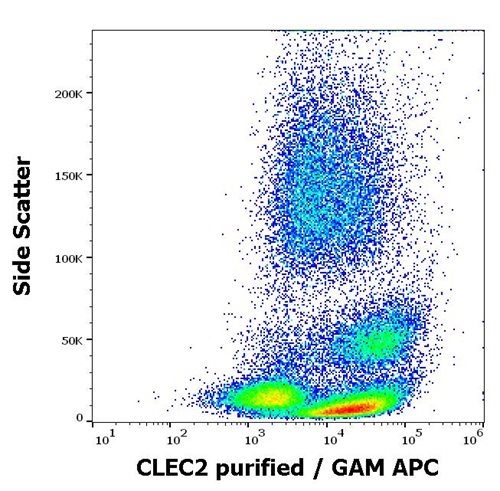 Anti-Hu CLEC2 Purified