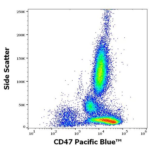 Anti-Hu CD47 Pacific Blue™
