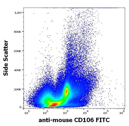 Anti-Ms CD106 FITC