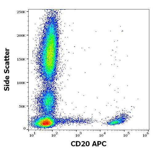 Anti-Hu CD20 APC