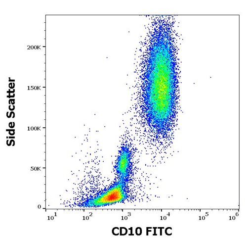 Anti-Hu CD10 FITC