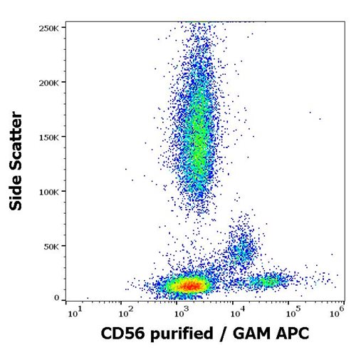 Anti-Hu CD56 Purified