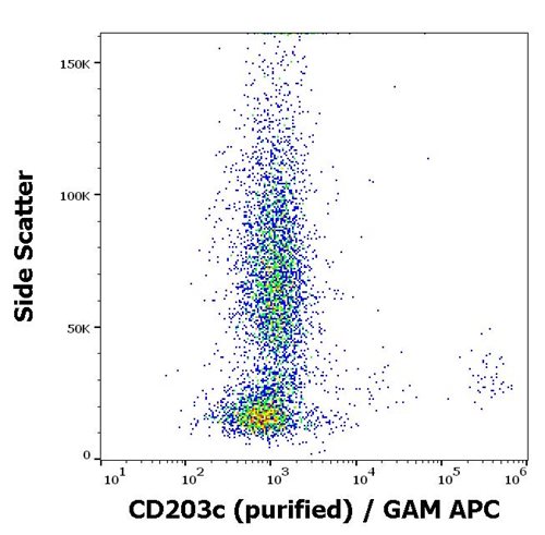 Anti-Hu CD203c Purified