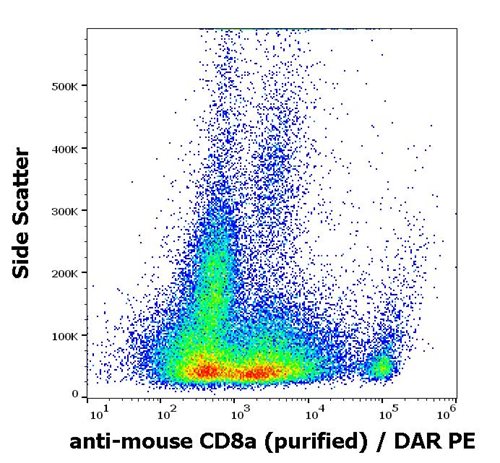 Anti-Ms CD8a Purified