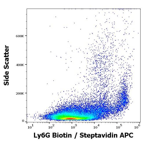 Anti-Ms Ly6G Biotin