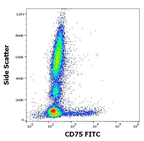 Anti-Hu CD75 FITC