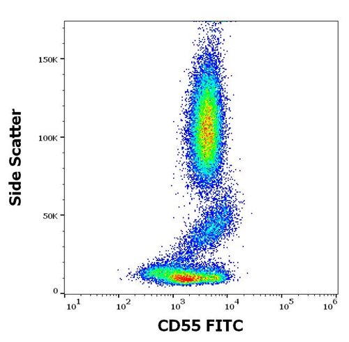 Anti-Hu CD55 FITC