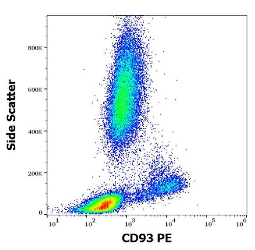 Anti-Hu CD93 PE