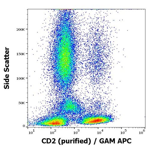 Anti-Hu CD2 Purified