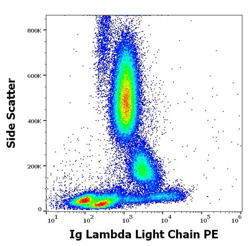 Anti-Hu Ig Lambda Light Chain PE