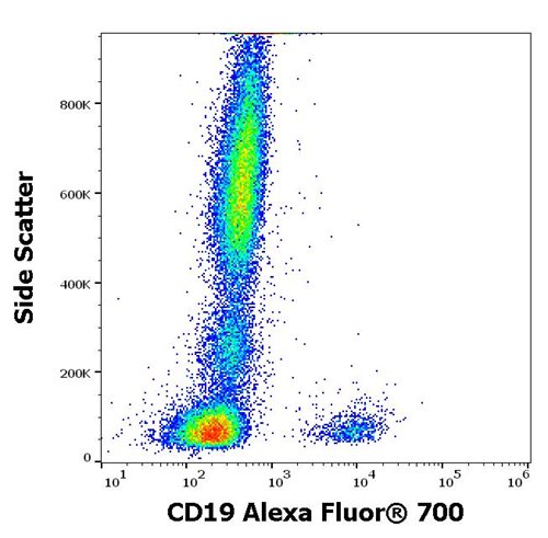 Anti-Hu CD19 Alexa Fluor<sup>®</sup> 700