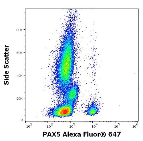 Anti-PAX5 Alexa Fluor<sup>®</sup> 647