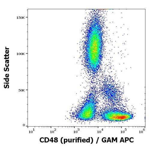 Anti-Hu CD48 Purified