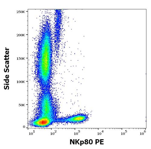 Anti-Hu NKp80 PE