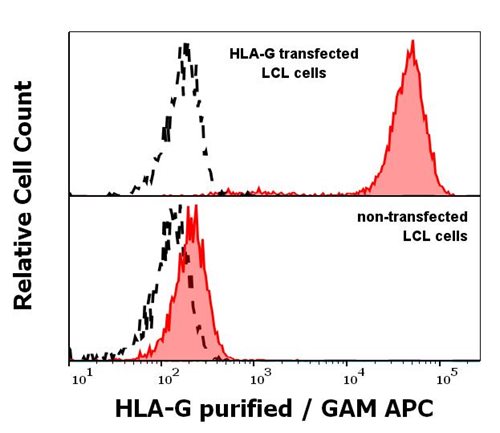 Anti-HLA-G Purified