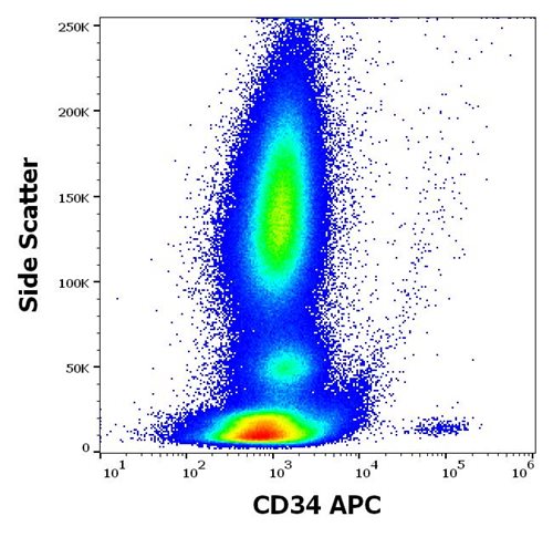 Anti-Hu CD34 APC
