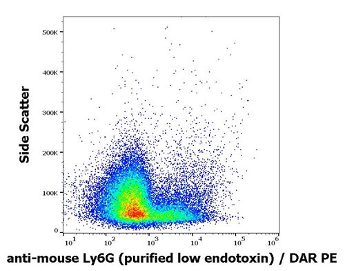 Anti-Ms Ly6G Purified Low Endotoxin