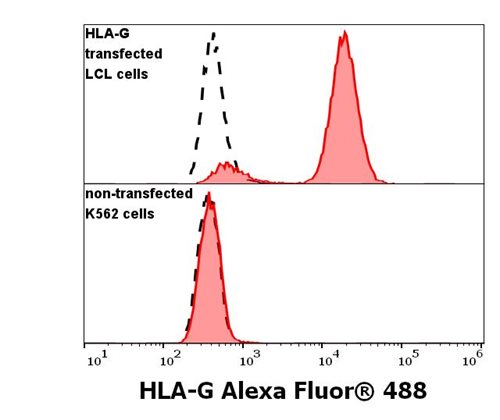 Anti-HLA-G Alexa Fluor<sup>®</sup> 488