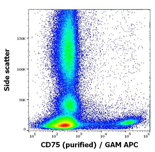 Anti-Hu CD75 Purified