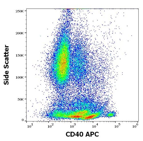 Anti-Hu CD40 APC