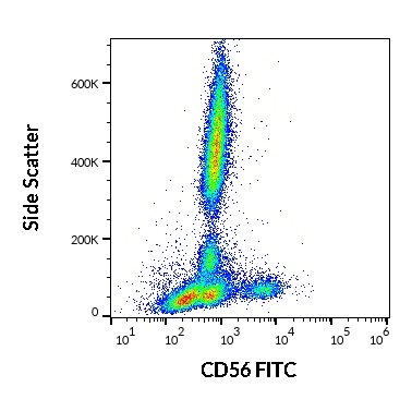 Anti-Hu CD56 FITC