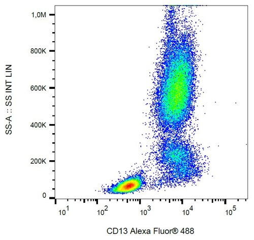 Anti-Hu CD13 Alexa Fluor<sup>®</sup> 488