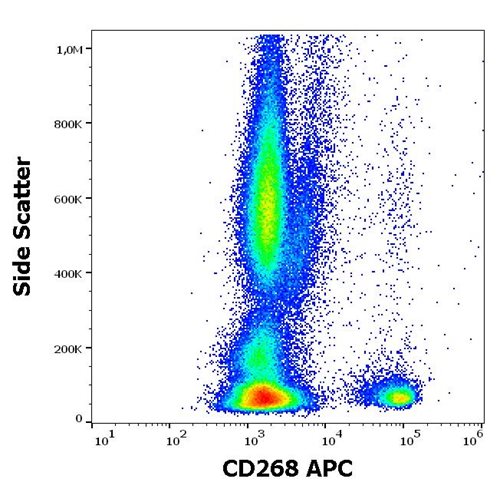 Anti-Hu CD268 APC