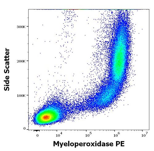 Anti-Hu Myeloperoxidase PE