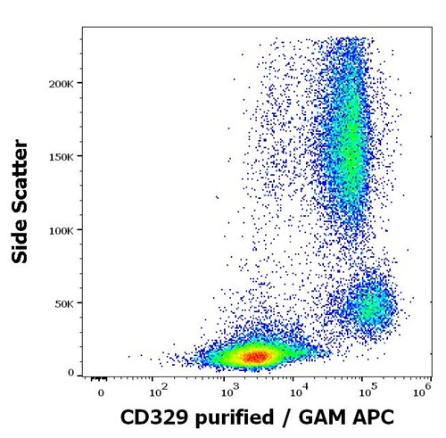 Anti-Hu CD329 Purified