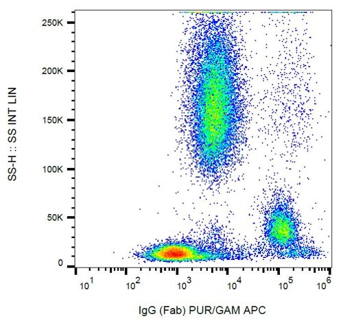 Anti-Hu IgG (Fab) Purified