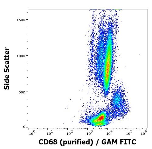 Anti-Hu CD68 Purified