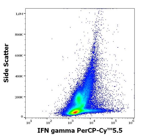 Anti-IFN gamma PerCP-Cy™5.5