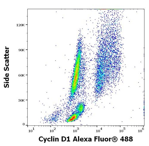 Anti-Cyclin D1 Alexa Fluor<sup>®</sup> 488