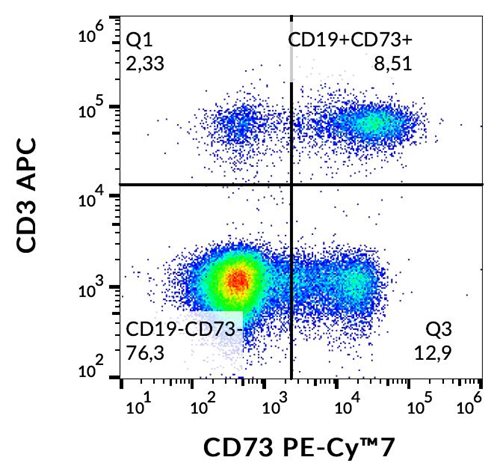 Anti-Hu CD73 PE-Cy™7