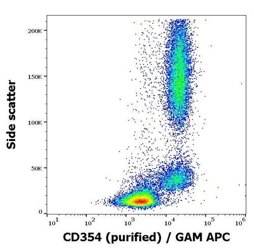 Anti-Hu CD354 Purified