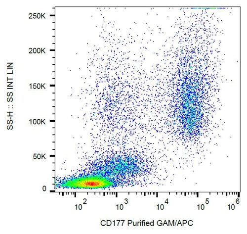 Anti-Hu CD177 Purified