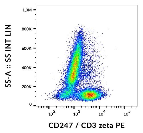 Anti-CD3 zeta PE