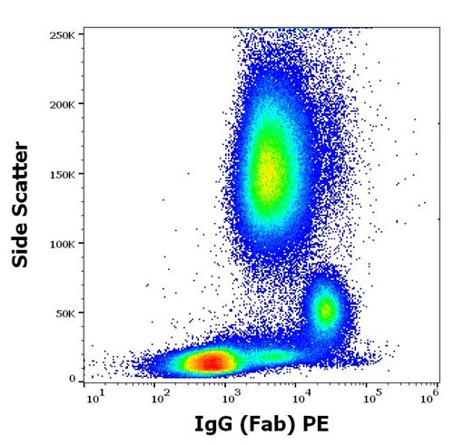 Anti-Hu IgG (Fab) PE