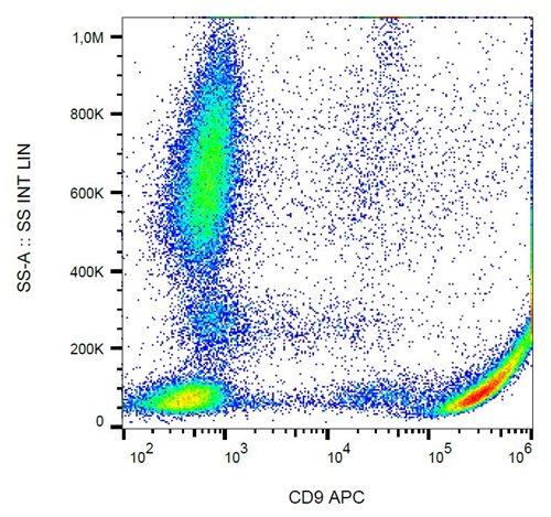 Anti-Hu CD9 APC