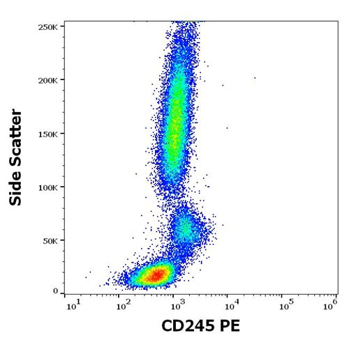 Anti-Hu CD245 PE