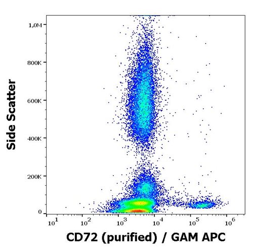 Anti-Hu CD72 Purified