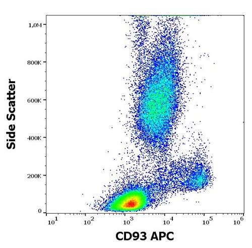 Anti-Hu CD93 APC