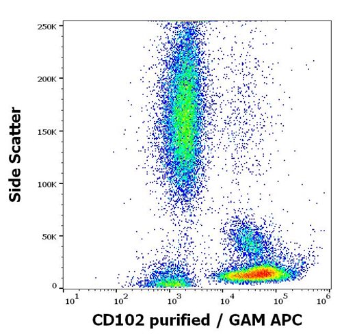 Anti-Hu CD102 Purified