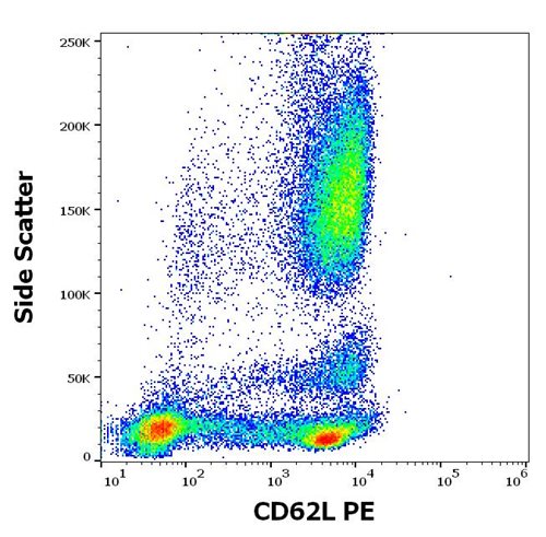 Anti-Hu CD62L PE